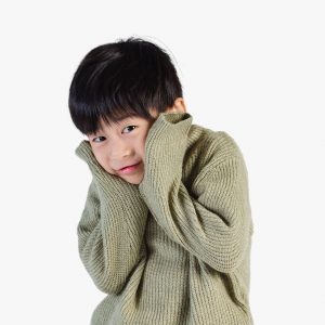 Baby Alpaca Jumper